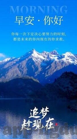 中文字幕大看焦在线看-探索中文字幕大看焦在线看的多元魅力